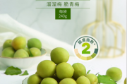 溜溜梅是健康食品吗？青梅零食开胃又解乏