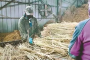秸秆综合利用政策带动致富 草帘草绳远销国内外