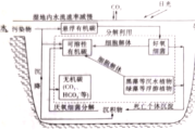 人工湿地：低成本高效净化污水，还能种花