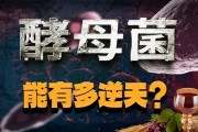 中老年人蛋白摄入不足咋补？酵母蛋白或许是个好选择