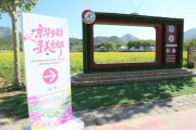 京郊春耕赏花品咖 生态旅游观光农业新体验