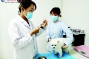 养狗会得狂犬病吗？不接种疫苗风险大