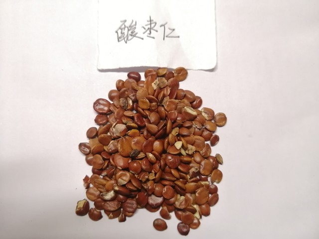 失眠多梦心悸出汗_吃什么可以改善睡眠多梦_酸枣仁汤颗粒调理心肝血虚