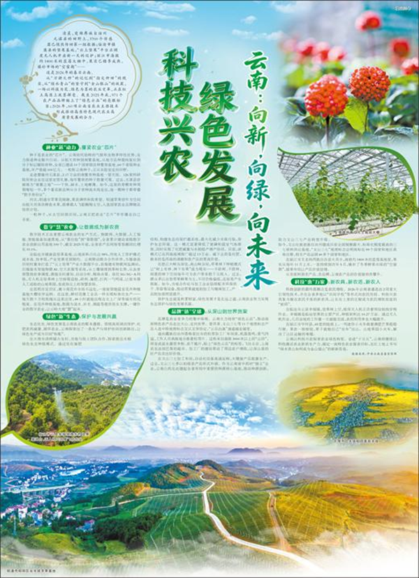 云上云源生态云南菜_云南绿色云品品牌建设_云南农业科技发展