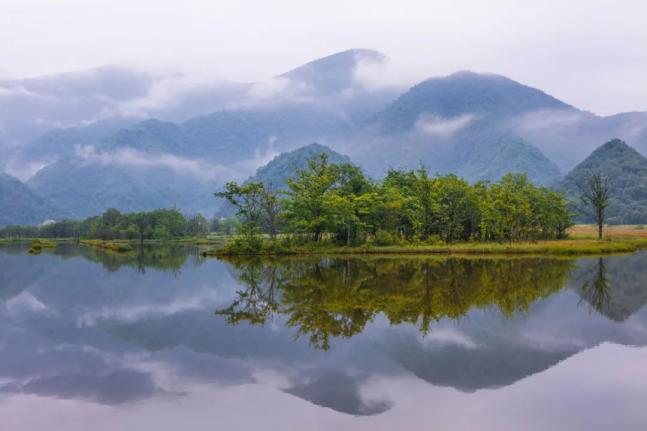 神农架哪些景点必去_神农架自然风光_神农架旅游景点