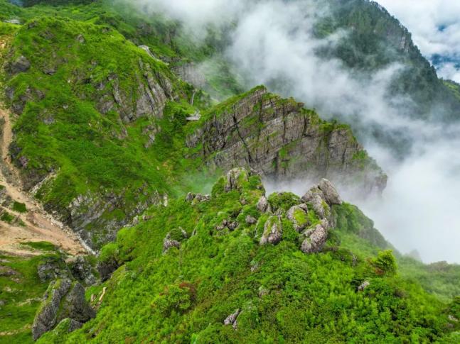 神农架哪些景点必去_神农架自然风光_神农架旅游景点