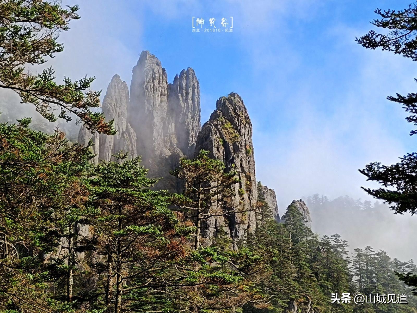 神农架哪些景点必去_神农架国家公园主要景区介绍_神农架国家公园景区分布与交通示意图
