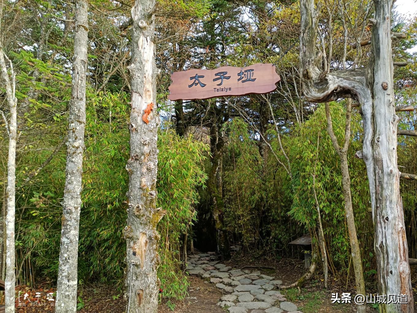神农架哪些景点必去_神农架国家公园主要景区介绍_神农架国家公园景区分布与交通示意图