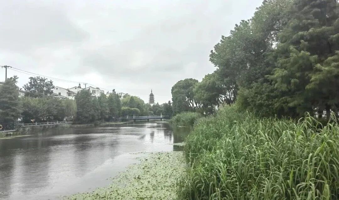 湿地定义_湿地生态系统特征_湿地重要性