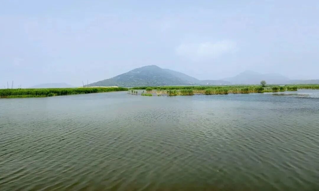 湿地重要性_湿地定义_湿地生态系统特征