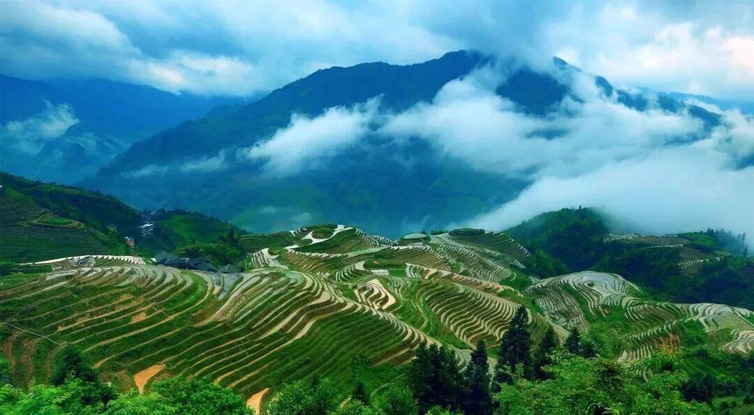湿地定义_湿地重要性_湿地生态系统特征