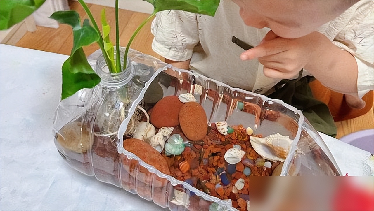 生态小鱼缸制作_鱼缸 生态_低成本生态造景