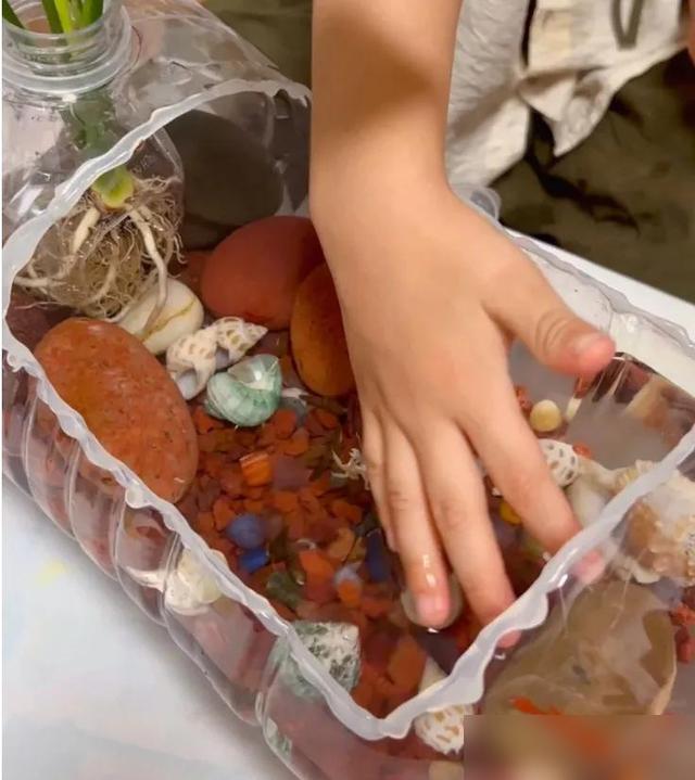 生态小鱼缸制作_低成本生态造景_鱼缸 生态
