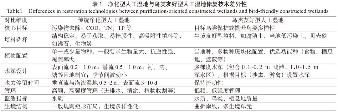 湿地生态系统特征_人工湿地水质净化与鸟类栖息地协同_鸟类友好型人工湿地技术