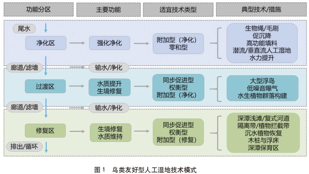 人工湿地水质净化与鸟类栖息地协同_鸟类友好型人工湿地技术_湿地生态系统特征