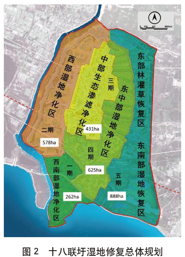 人工湿地水质净化与鸟类栖息地协同_鸟类友好型人工湿地技术_湿地生态系统特征