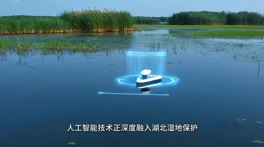 湖北湿地人工智能保护_湿地生态系统特征_人工智能赋能湖北湿地监测