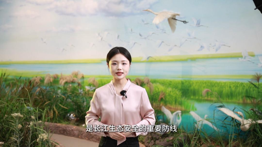 湿地生态系统特征_湖北湿地人工智能保护_人工智能赋能湖北湿地监测