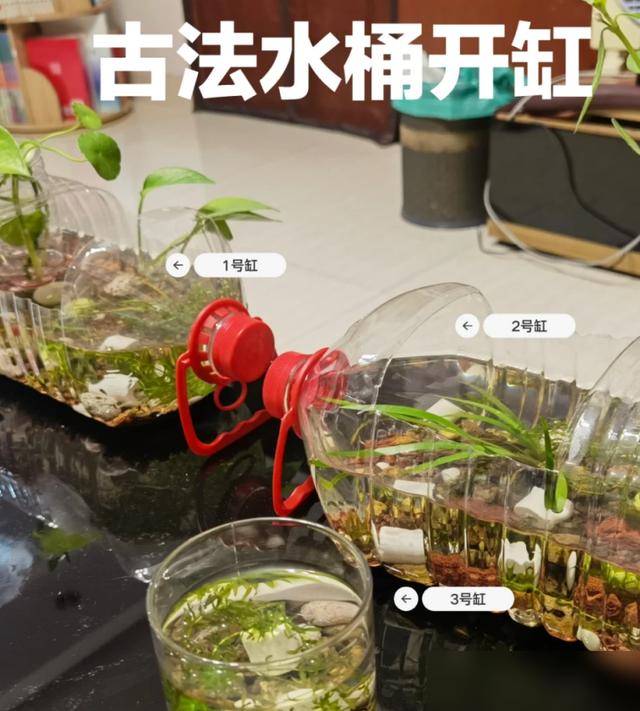 矿泉桶改造观赏鱼缸_废物利用生态缸_鱼缸 生态