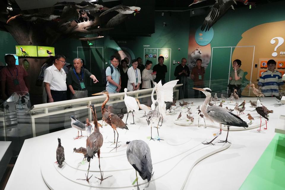 盐城黄海湿地博物馆_盐城湿地生态公园在哪_黄海湿地博物馆参观体验