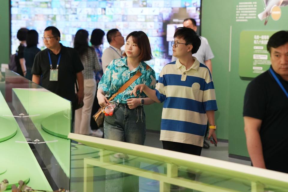 黄海湿地博物馆参观体验_盐城黄海湿地博物馆_盐城湿地生态公园在哪