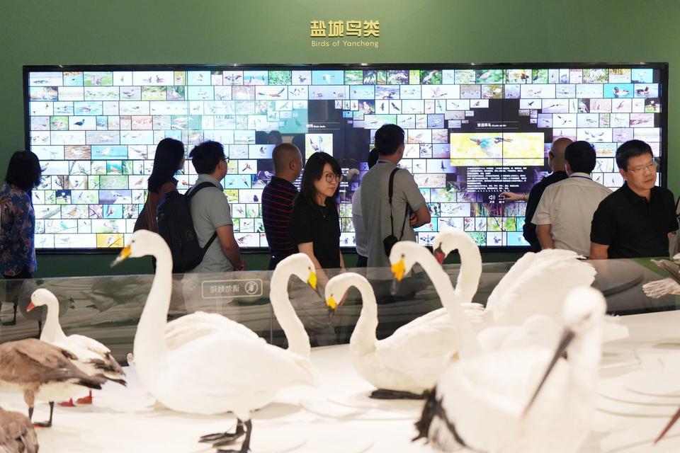 盐城黄海湿地博物馆_盐城湿地生态公园在哪_黄海湿地博物馆参观体验