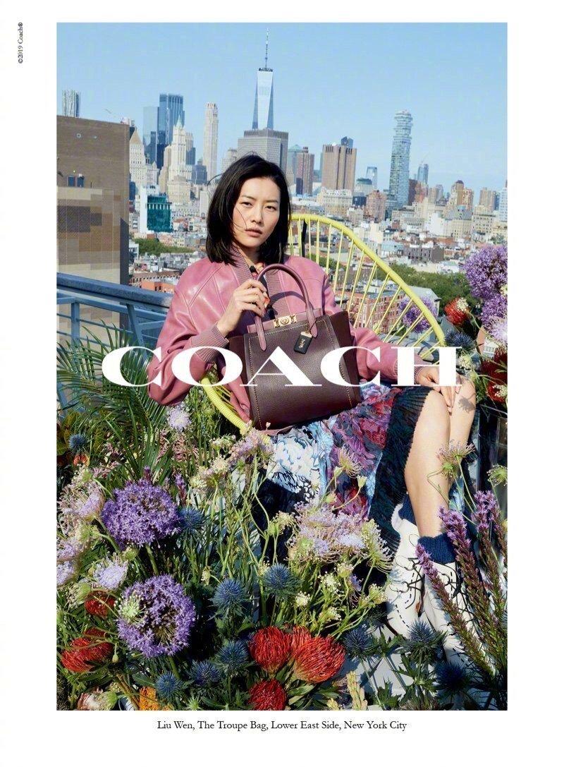 coach包包 海报_coach杨紫代言对比刘雯_杨紫coach代言大片分析