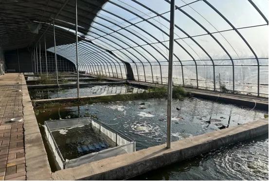 中河源社区葡萄小龙虾共生模式_乌海市葡萄小龙虾共生生态农业项目_生态农业 项目