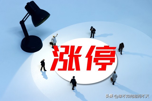天赐材料业绩增长分析_天赐材料涨停分析_个股分析模板
