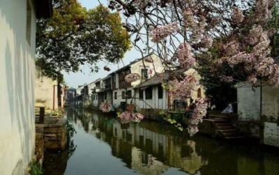 古镇特色景点介绍_七宝古镇 朱家角_江南古镇旅游攻略