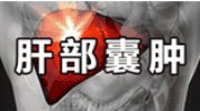 俄乌冲突 巴基斯坦 独立自主_巴基斯坦 西方 武器援助_巴基斯坦石油部长