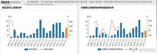 渤海证券IPO审核进展_渤海交易所怎么样_渤海证券财务顾问立案