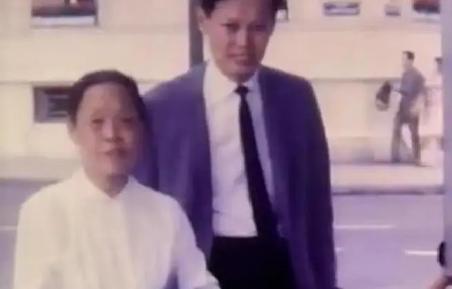 杨振宁和孩子的关系_罗孟华 杨振宁 母亲教育