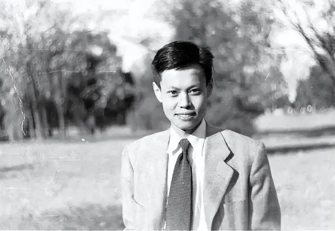 杨振宁和孩子的关系_罗孟华 杨振宁 母亲教育