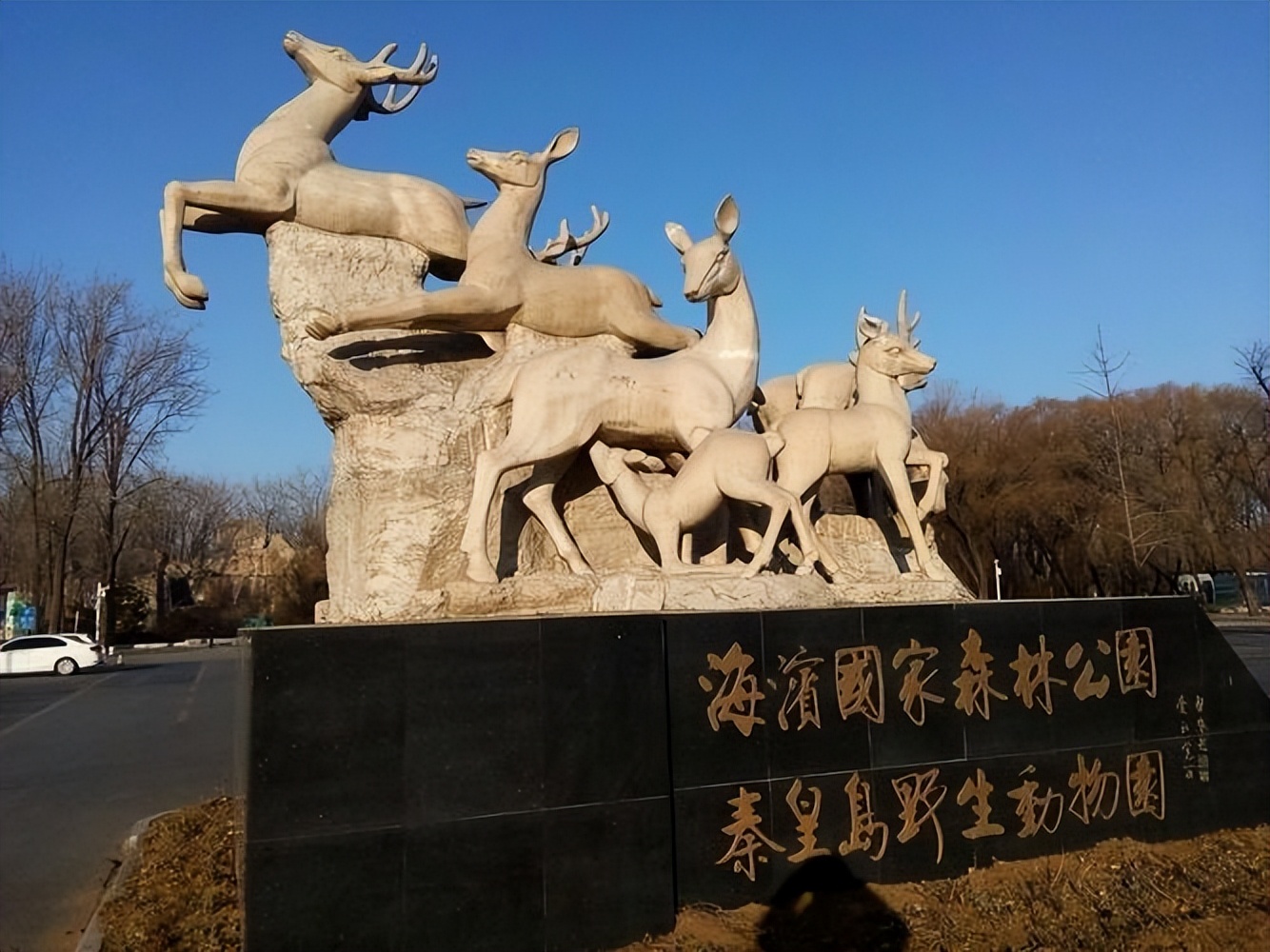 北戴河海鲜市场_北戴河到北京 火车_北戴河旅游攻略
