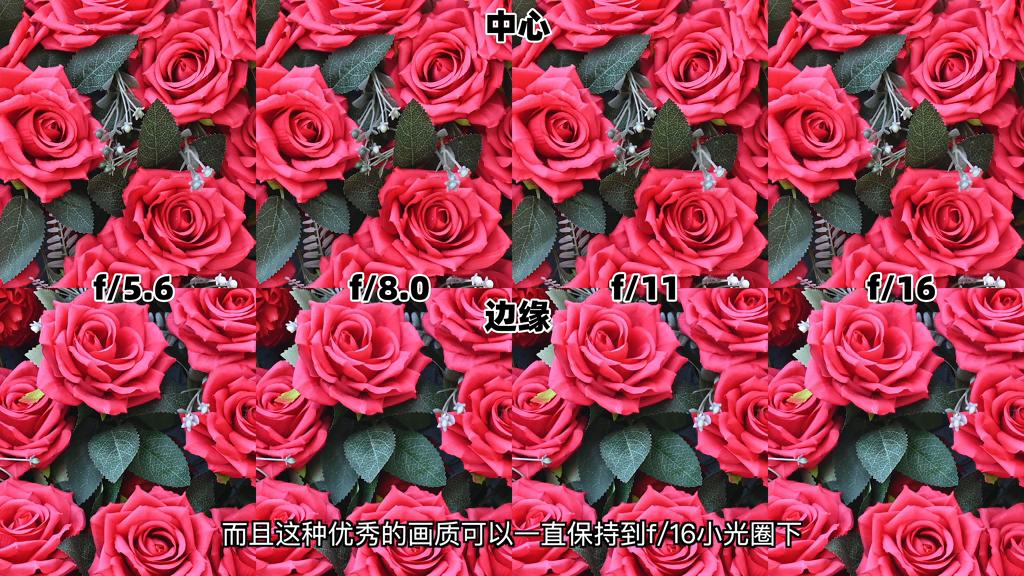 尼康Plena镜头评测_尼康Plena镜头光学素质_尼康金镜头