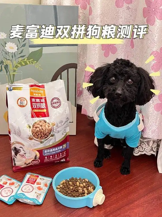 小狗呕吐没精神_狗狗呕吐不吃不喝没精神应对策略_幼犬呕吐腹泻症状分析