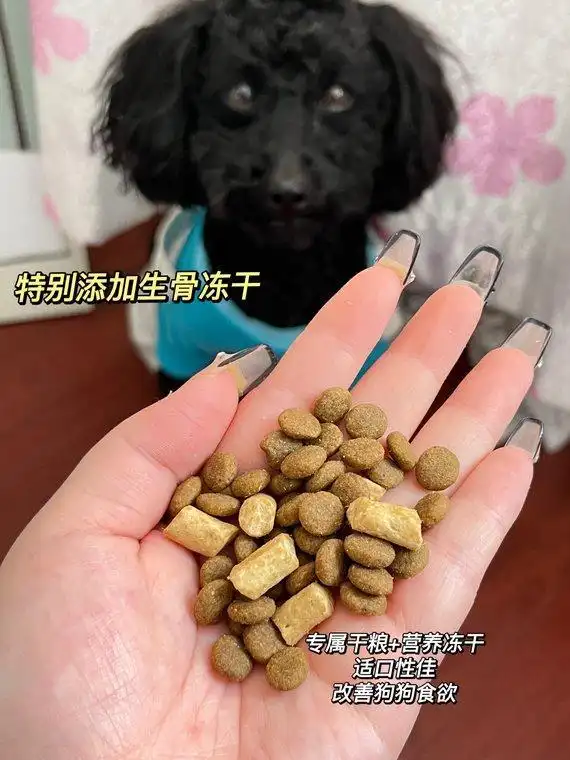 狗狗呕吐不吃不喝没精神应对策略_小狗呕吐没精神_幼犬呕吐腹泻症状分析