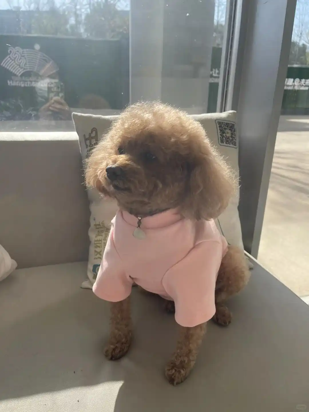 幼犬呕吐腹泻症状分析_狗狗呕吐不吃不喝没精神应对策略_小狗呕吐没精神