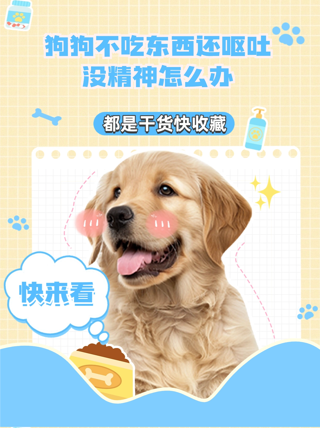 小狗呕吐没精神_狗狗不吃东西呕吐没精神怎么办_狗狗肠胃炎呕吐不吃东西怎么办