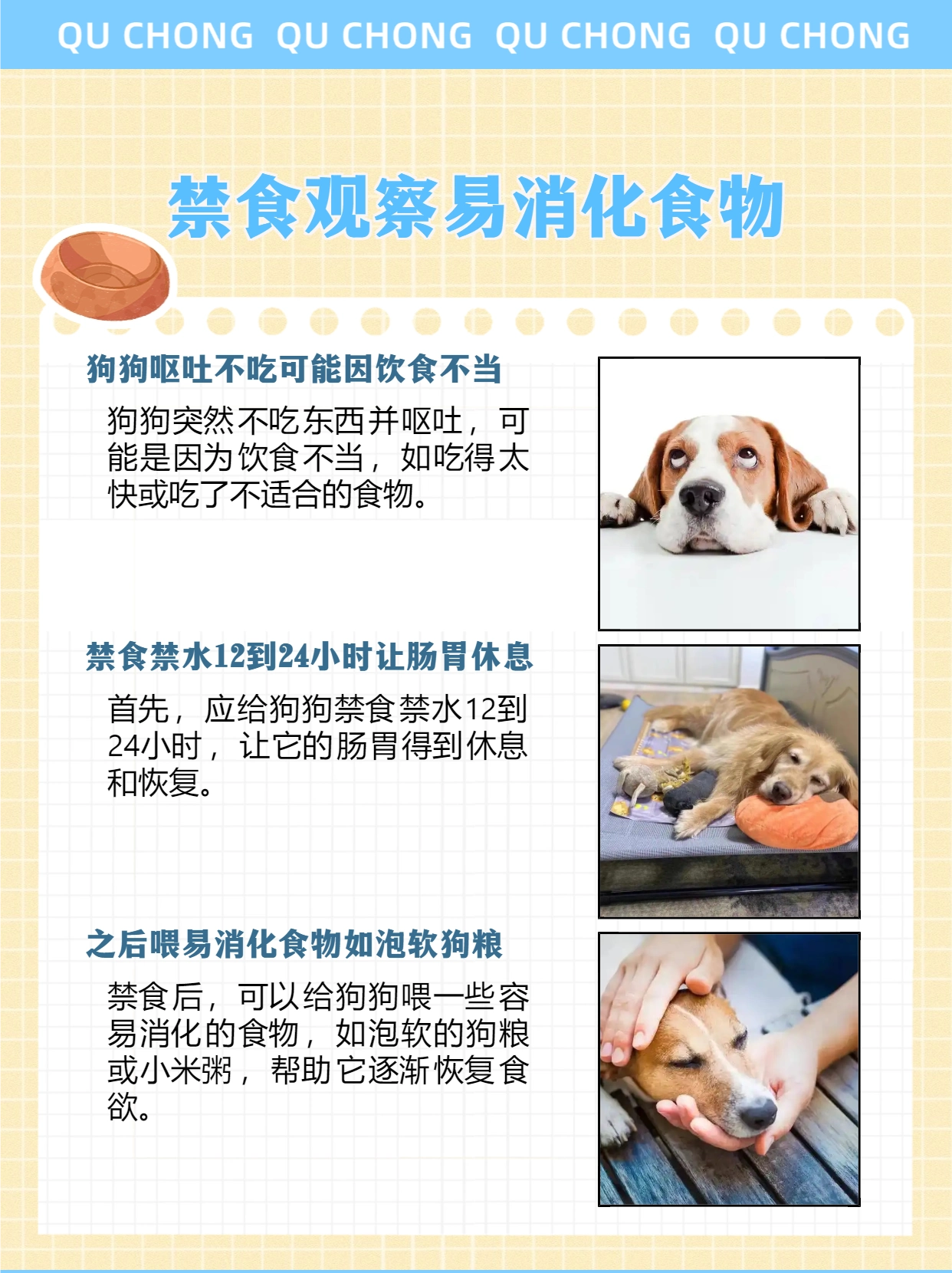 狗狗肠胃炎呕吐不吃东西怎么办_小狗呕吐没精神_狗狗不吃东西呕吐没精神怎么办