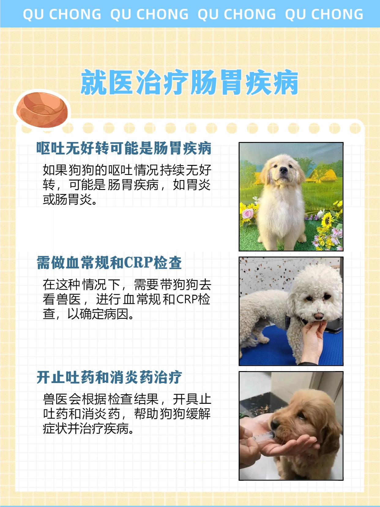 狗狗不吃东西呕吐没精神怎么办_狗狗肠胃炎呕吐不吃东西怎么办_小狗呕吐没精神