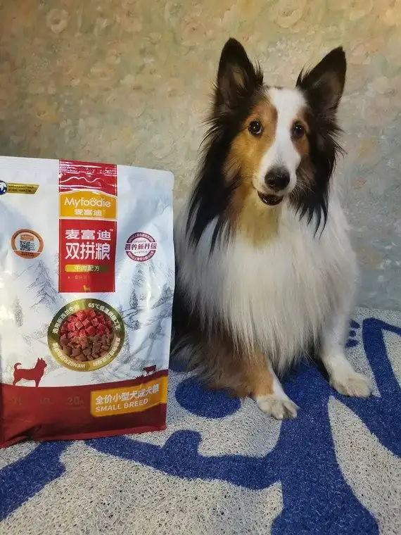 小狗呕吐没精神_狗狗呕吐没精神处理预防_狗狗呕吐精神不振原因