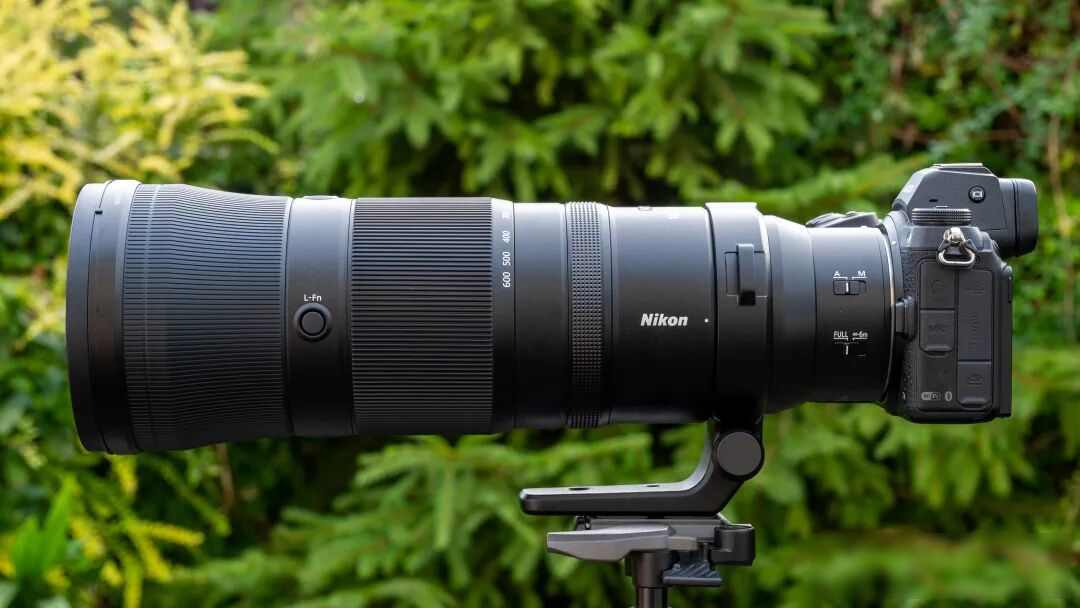 尼康Z 180-600mm f/5.6-6.3 VR 打鸟镜头_尼康金镜头_尼康Z 70-200mm f/2.8 VR S 婚礼摄影