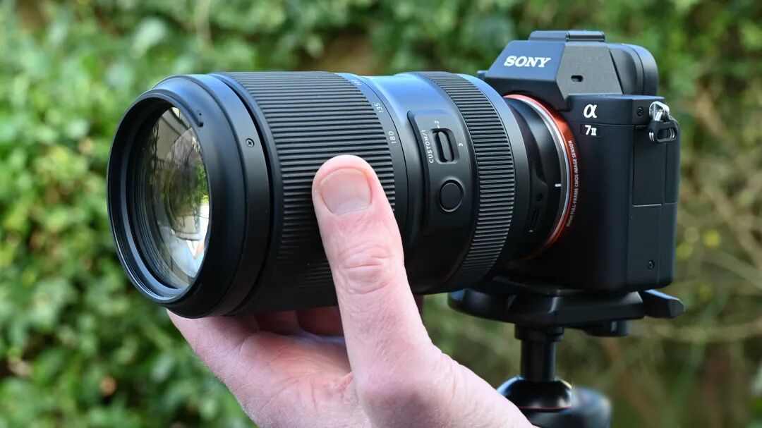 尼康Z 180-600mm f/5.6-6.3 VR 打鸟镜头_尼康金镜头_尼康Z 70-200mm f/2.8 VR S 婚礼摄影
