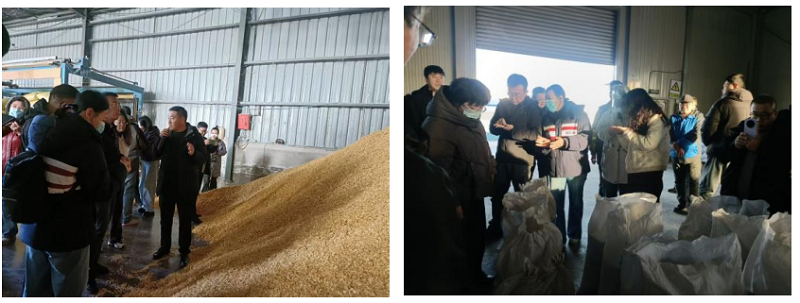 秸秆回收再利用_秸秆饲料化高值利用_废旧地膜绿色治理