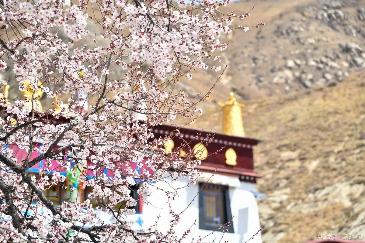 索松村观景台_波密桃花_波密桃花节