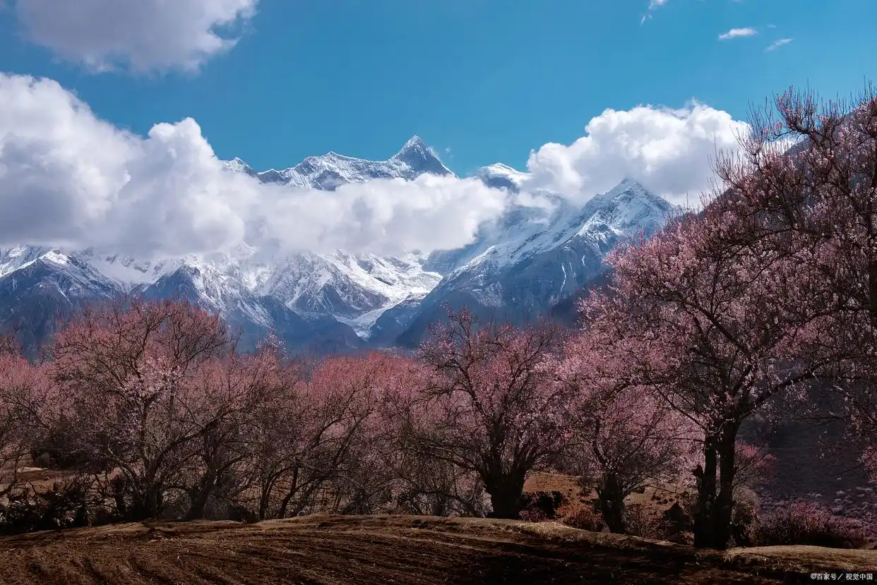 波密桃花沟米堆冰川旅游攻略_波密桃花_波密桃花冰川航拍