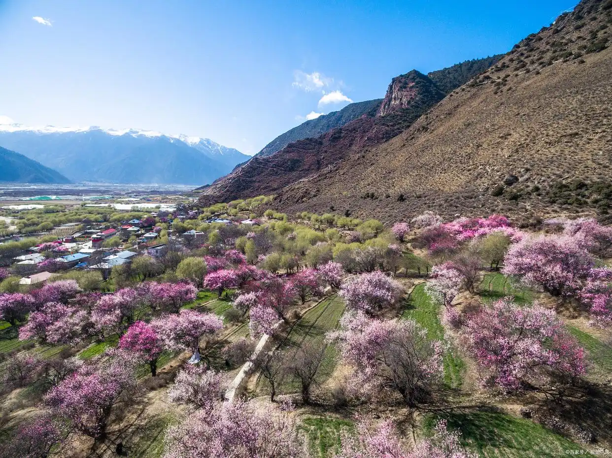 波密桃花沟米堆冰川旅游攻略_波密桃花_波密桃花冰川航拍