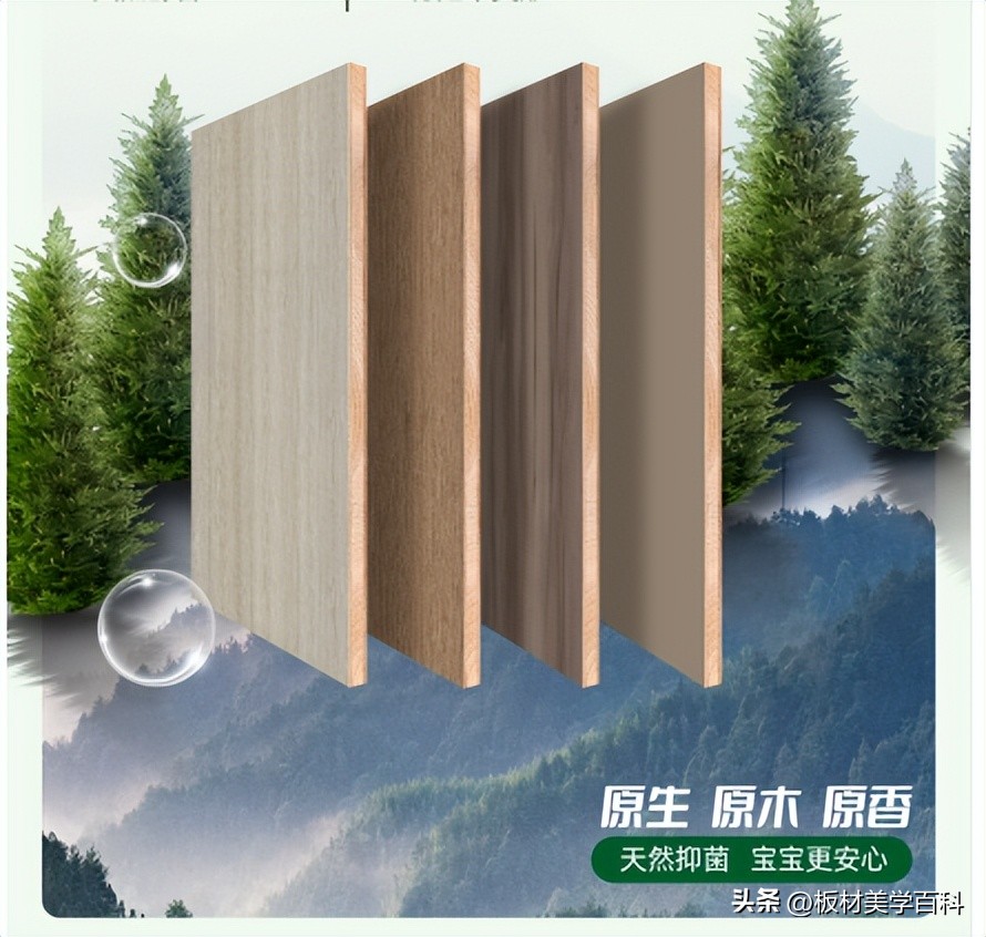 全球顶级板材品牌介绍_生态木板材_家具板品牌排名